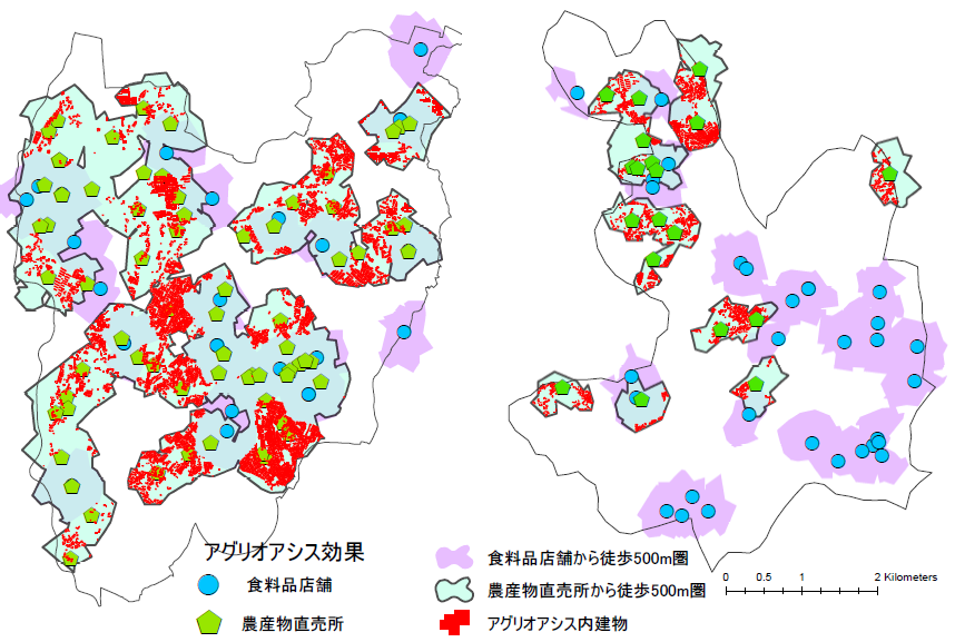 図：食料品店舗が近くにない地域（白エリア）おいて、直売所を利用するとアクセスが改善される地域（水色エリア）とそこに含まれる建物（赤色）を示すマップ。